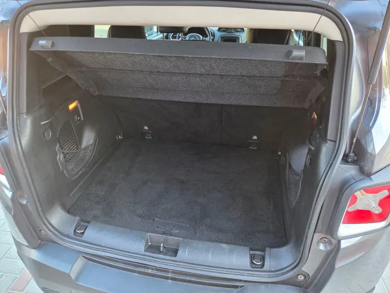 Jeep Renegade usata a Torino (15)