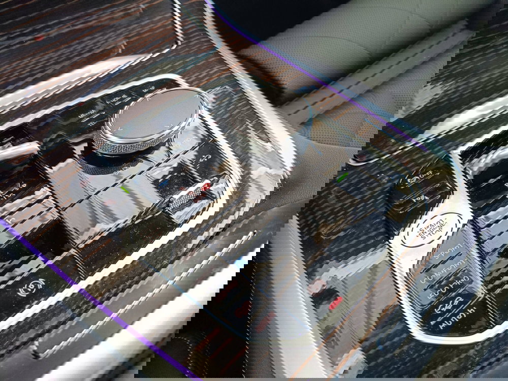 BMW X5 usata a Ascoli Piceno (20)