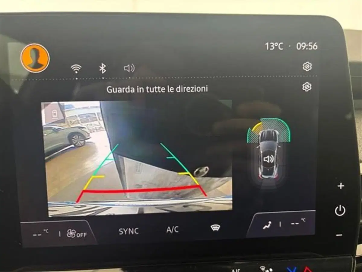Renault Austral usata a Siena (18)