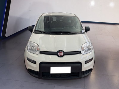 Fiat Panda 1.0 firefly hybrid s&amp;s 70cv 5p.ti del 2023 usata a Torino