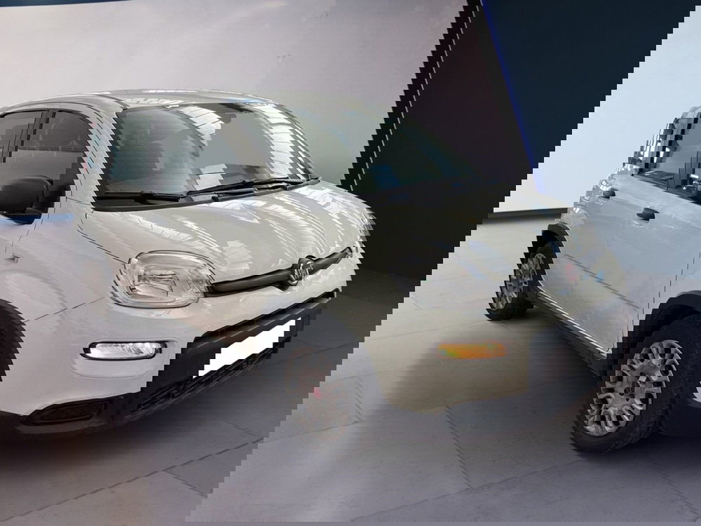 Fiat Panda usata a Torino (2)