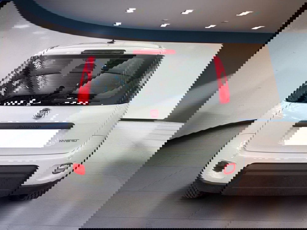 Fiat Panda usata a Torino (5)