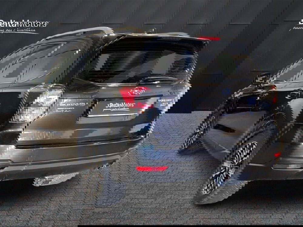 Subaru Forester usata a Ancona (3)