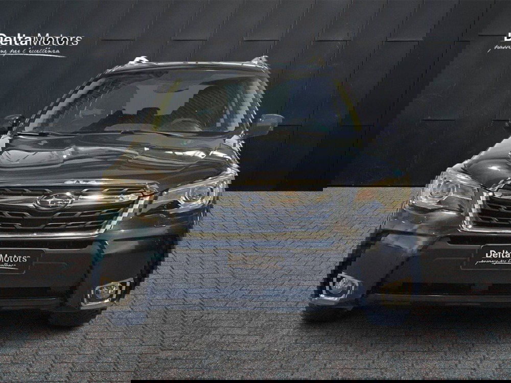 Subaru Forester usata a Ancona (6)