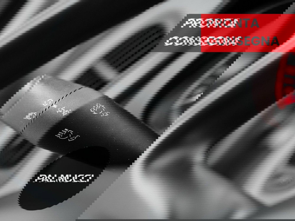 Fiat Panda Cross usata a Prato (12)