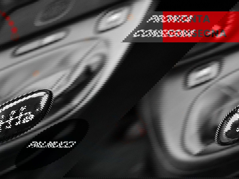 Fiat Panda Cross usata a Prato (16)