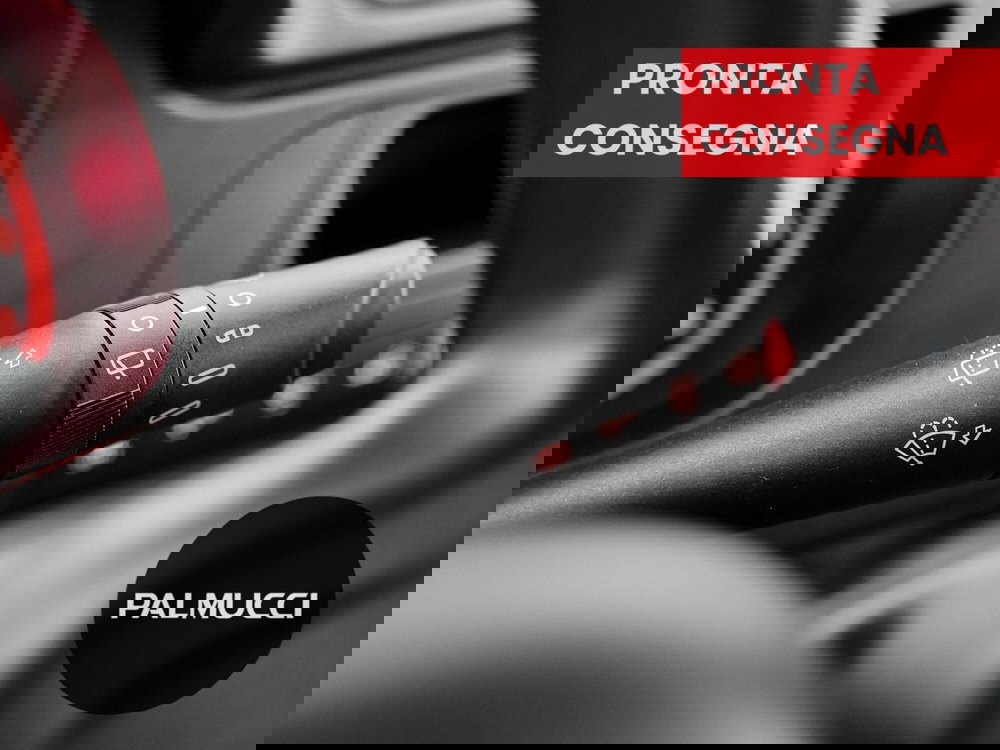 Fiat Panda Cross usata a Prato (17)