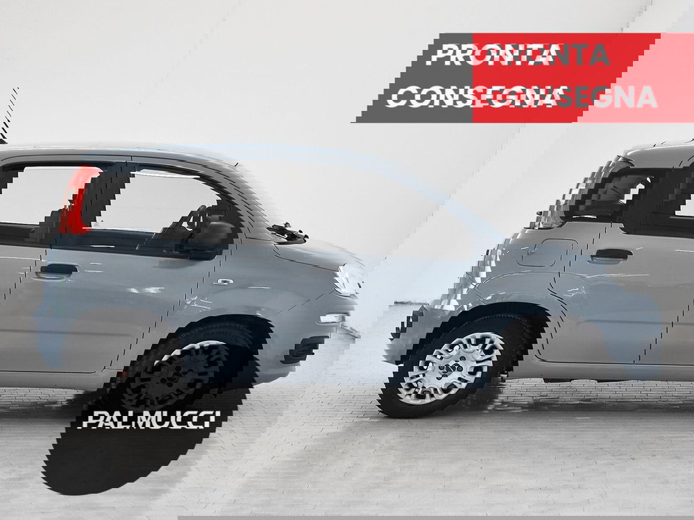 Fiat Panda Cross usata a Prato (4)