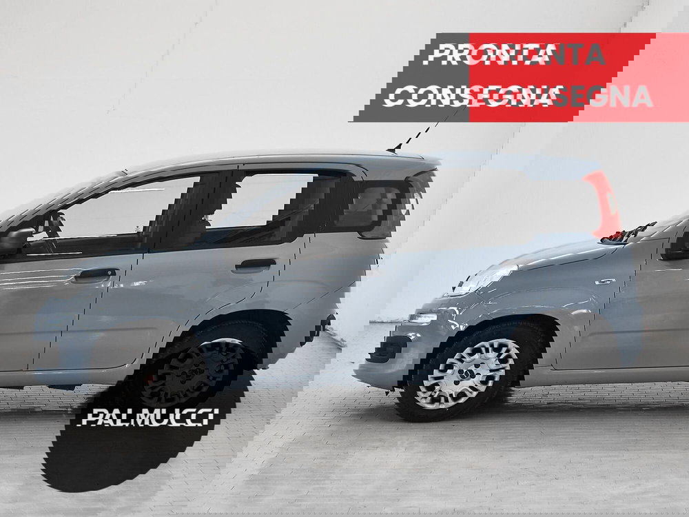 Fiat Panda Cross usata a Prato (5)