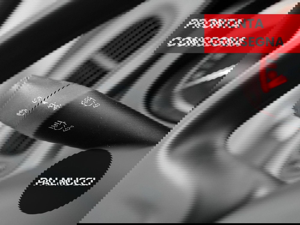 Fiat Panda Cross usata a Prato (13)