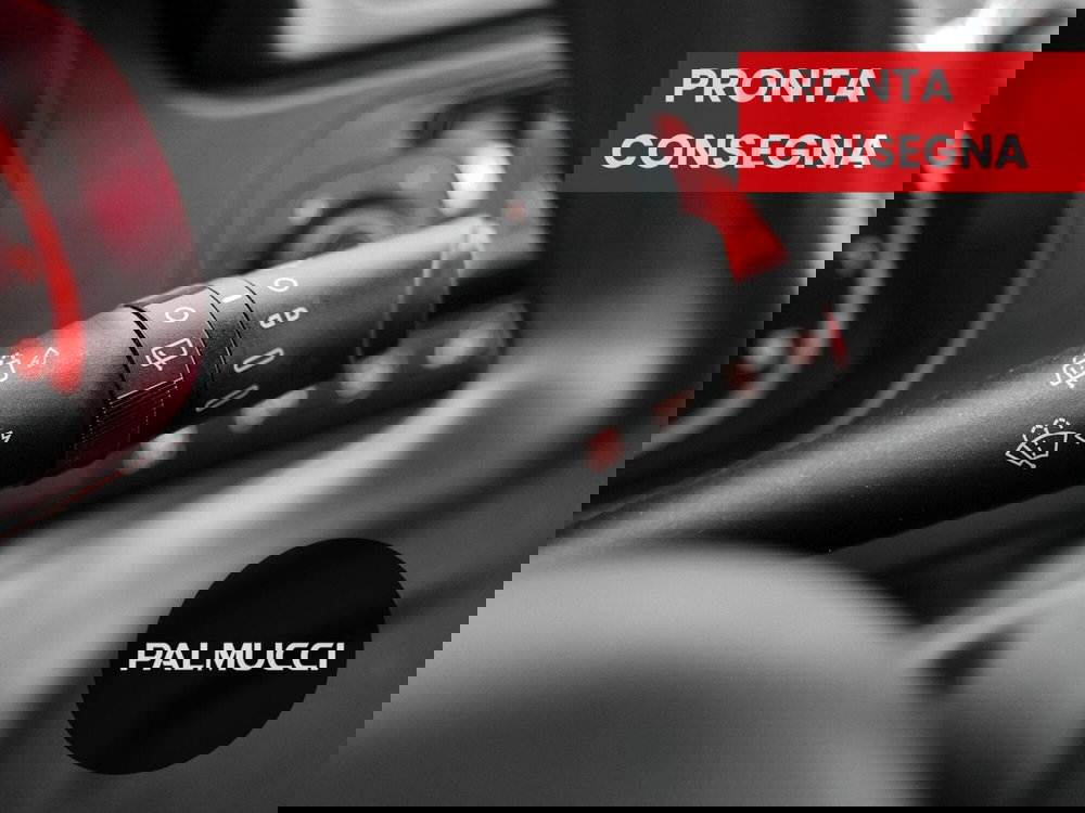 Fiat Panda Cross usata a Prato (15)