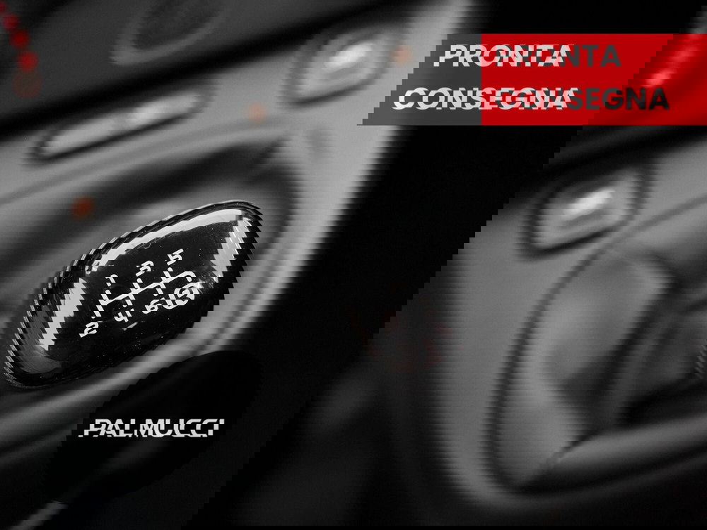 Fiat Panda Cross usata a Prato (18)