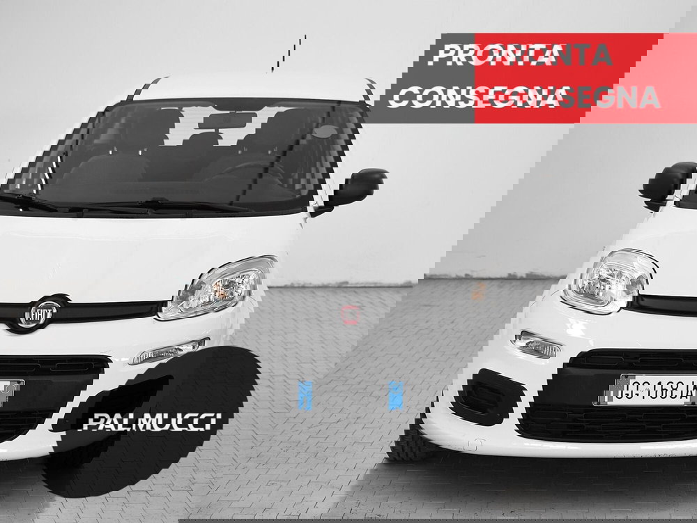 Fiat Panda Cross usata a Prato (2)