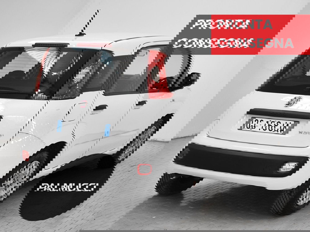 Fiat Panda Cross usata a Prato (3)