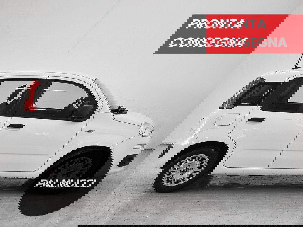 Fiat Panda Cross usata a Prato (4)