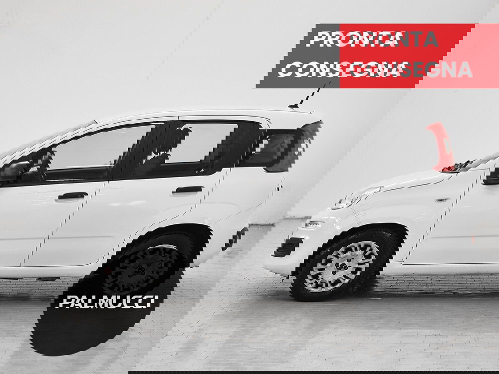 Fiat Panda Cross usata a Prato (5)