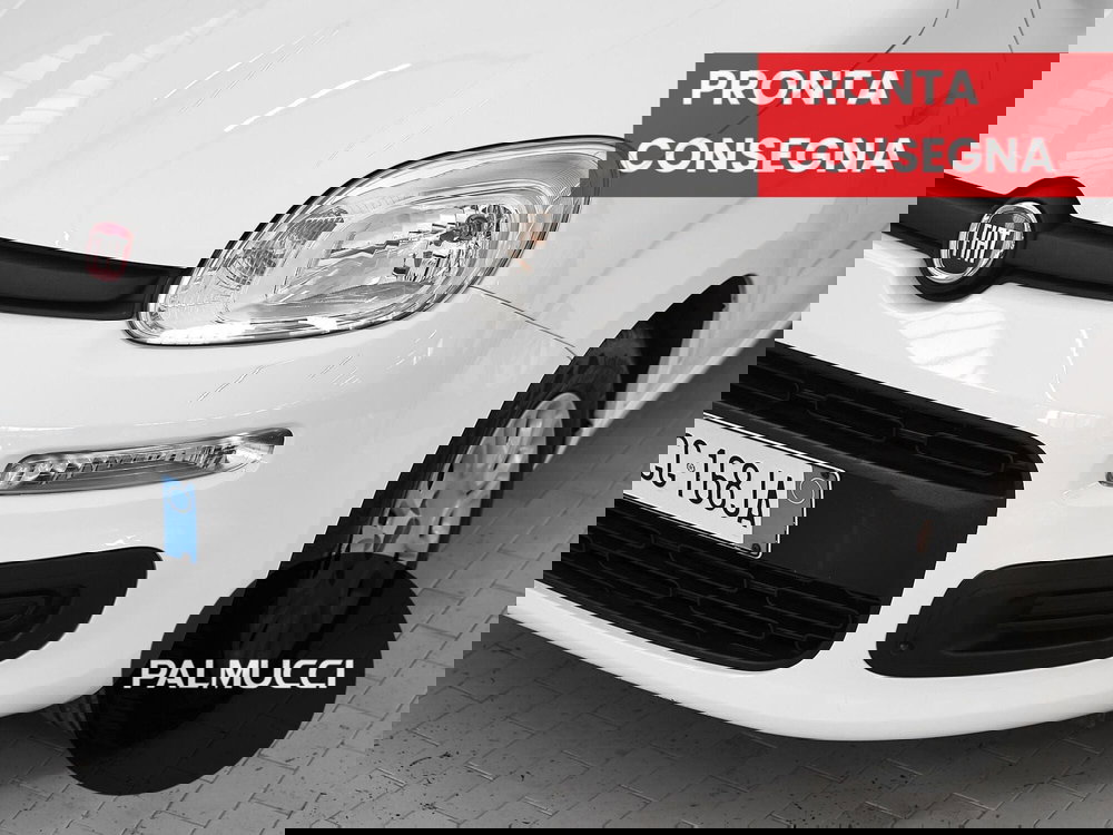 Fiat Panda Cross usata a Prato (6)