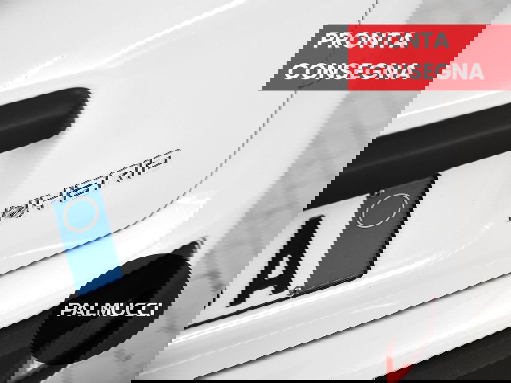 Fiat Panda Cross usata a Prato (8)