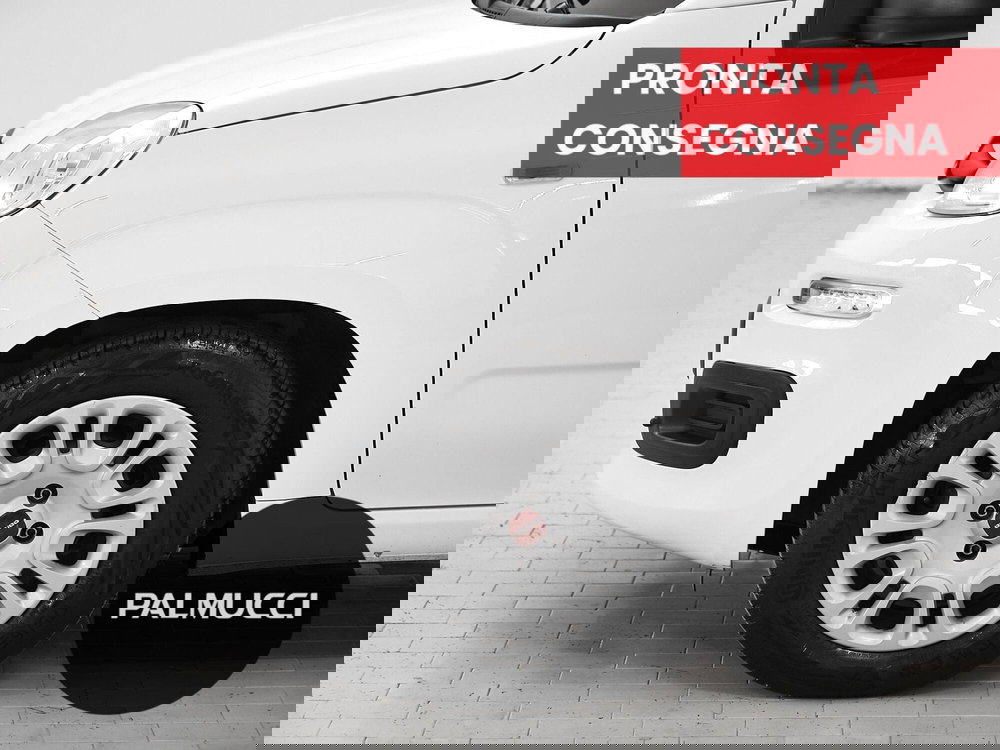 Fiat Panda Cross usata a Prato (9)