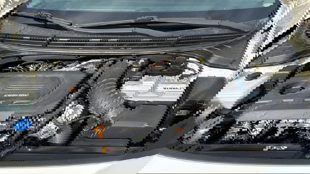 Kia Rio usata a Treviso (20)