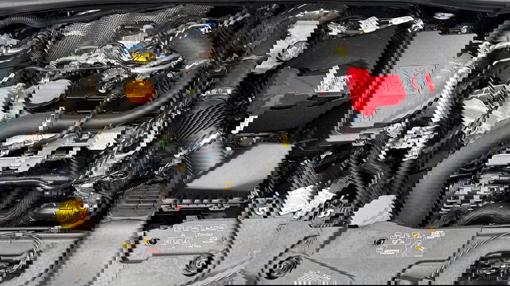 Renault Clio usata a Treviso (19)