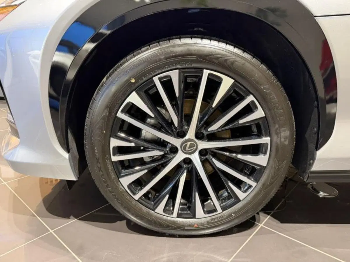 Lexus RZ nuova a Perugia (9)