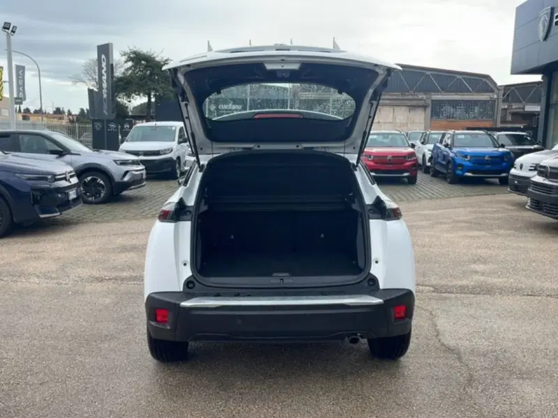 Peugeot 2008 usata a Foggia (6)