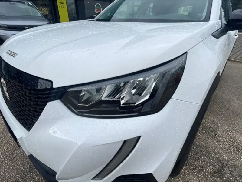 Peugeot 2008 usata a Foggia (8)