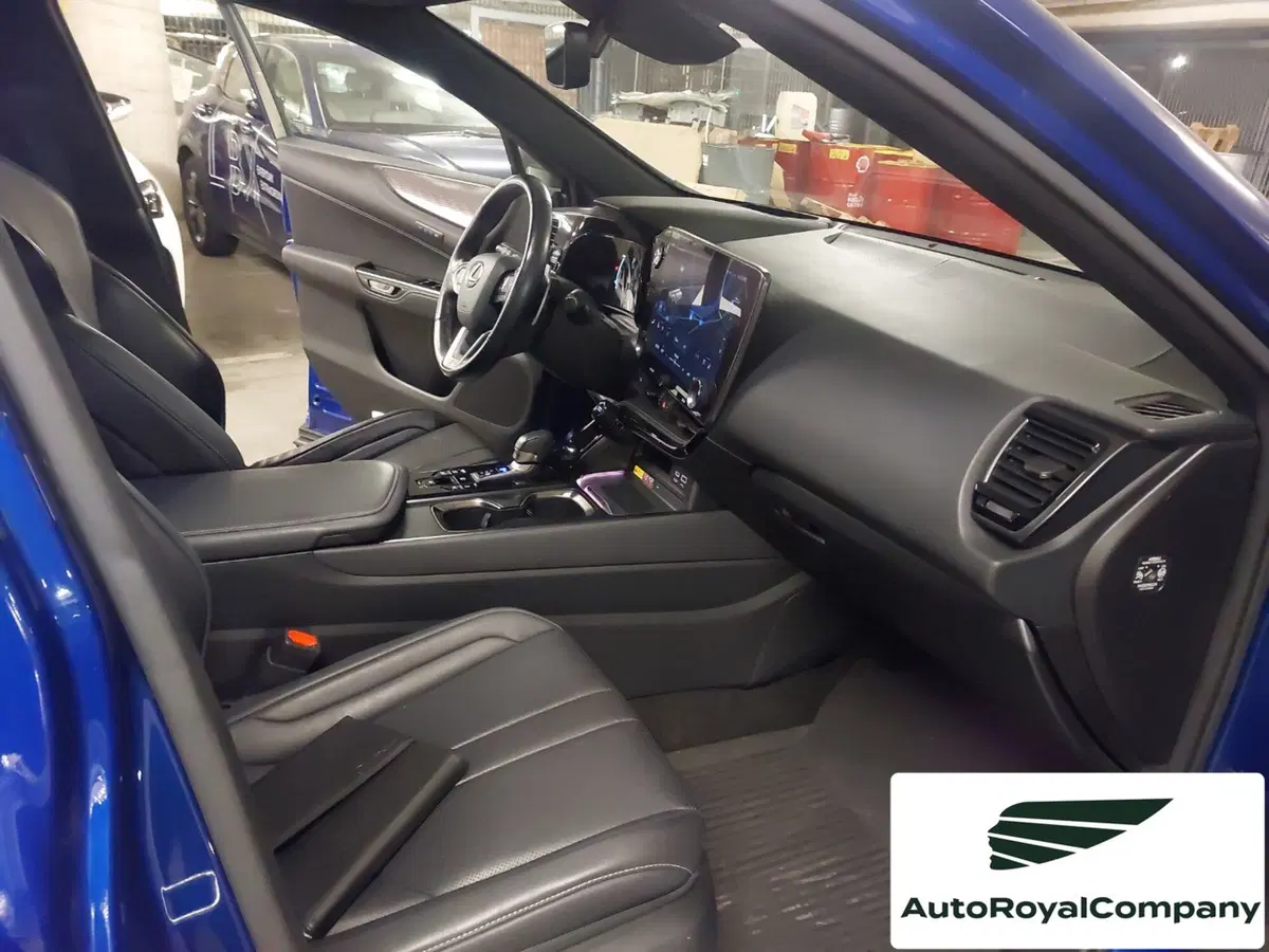 Lexus NX usata a Roma (15)