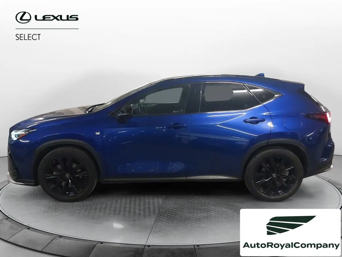 Lexus NX usata a Roma (3)
