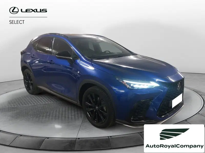 Lexus NX usata a Roma (7)