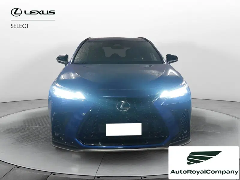 Lexus NX usata a Roma (8)