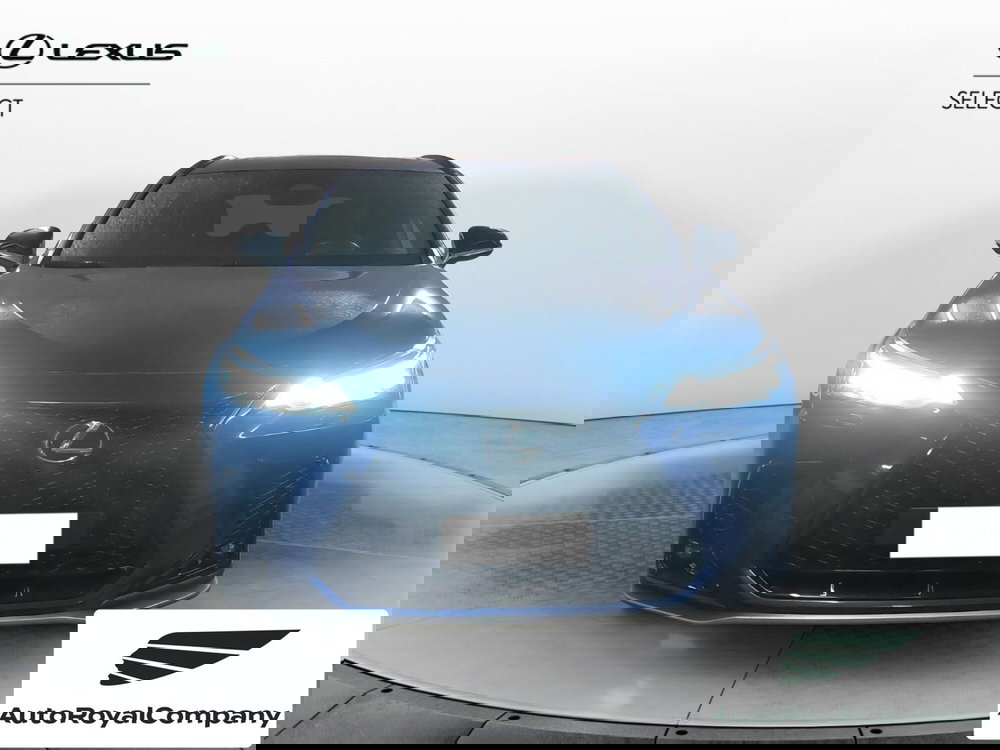 Lexus NX usata a Roma (8)