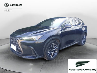 Lexus NX Hybrid 4WD Premium del 2022 usata a Roma