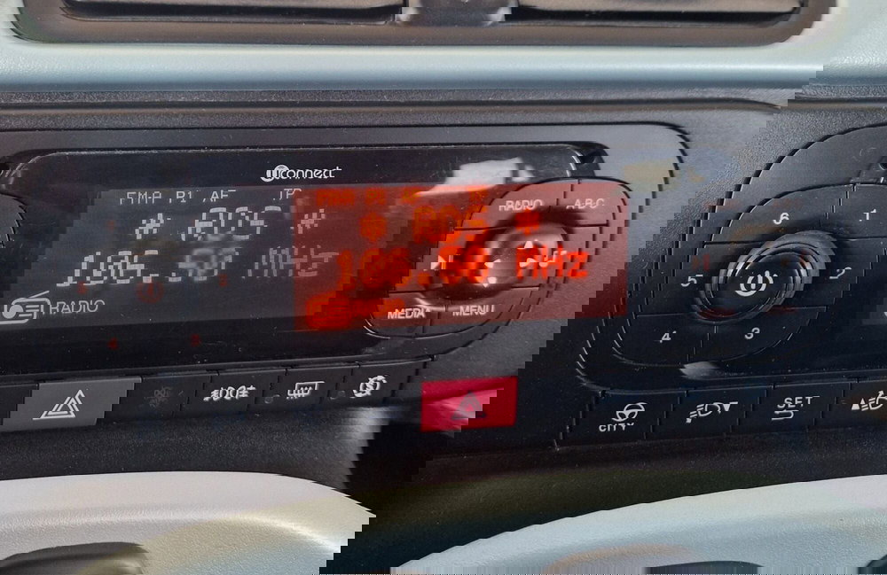 Fiat Panda usata a Terni (13)