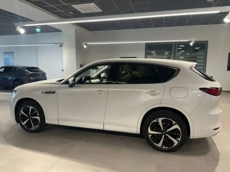 Mazda CX-60 usata a Cuneo (8)