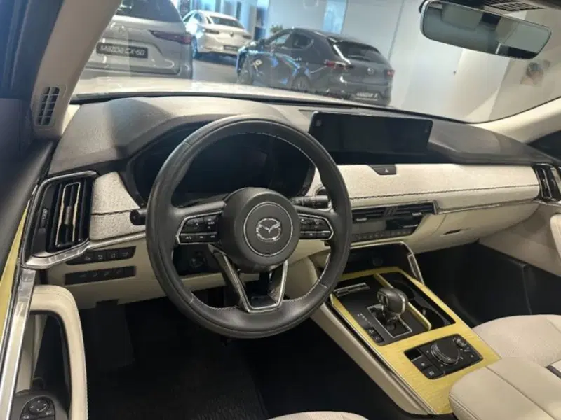 Mazda CX-60 usata a Cuneo (9)