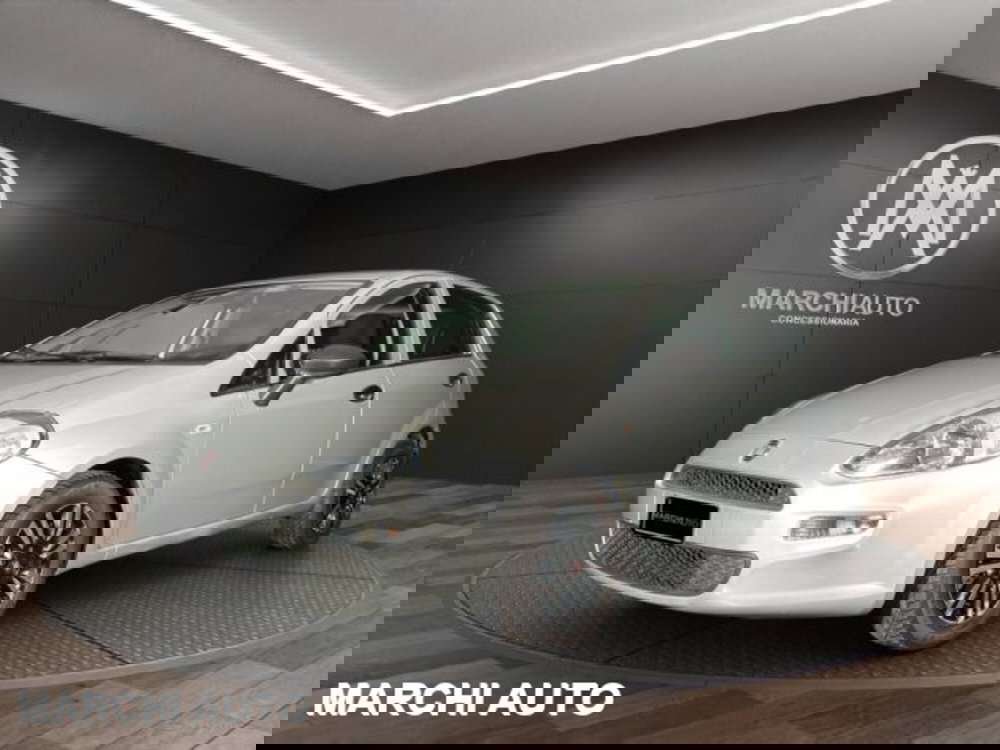 Fiat Punto usata a Perugia