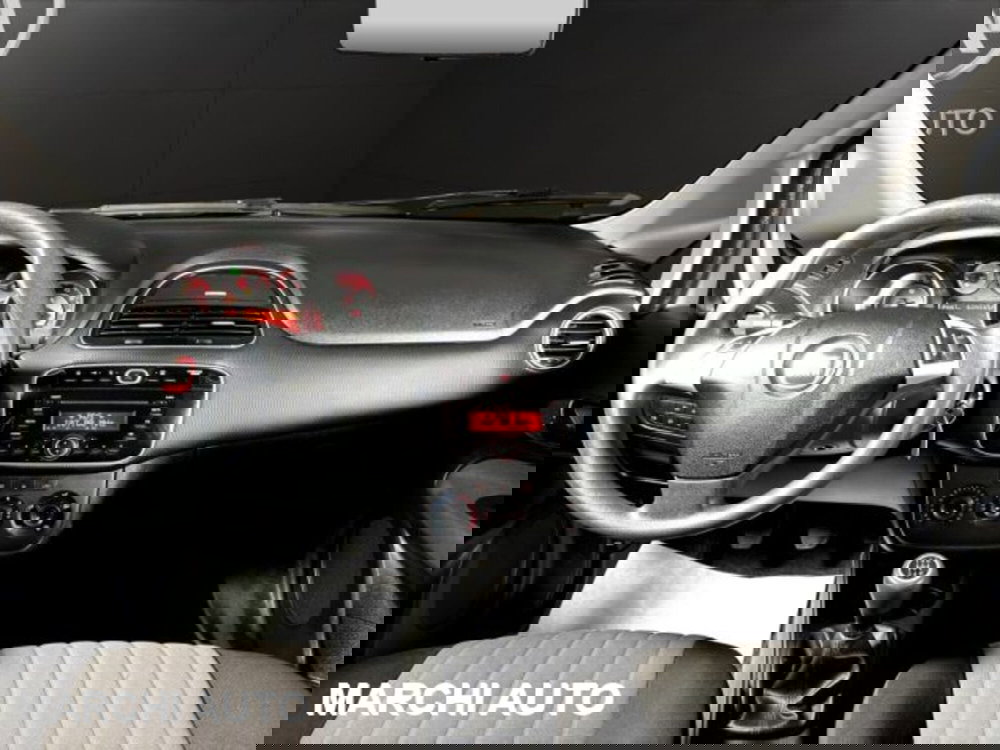 Fiat Punto usata a Perugia (12)