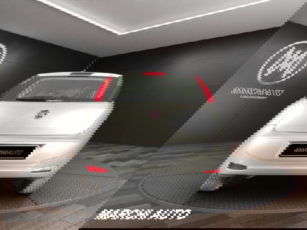 Fiat Punto usata a Perugia (6)