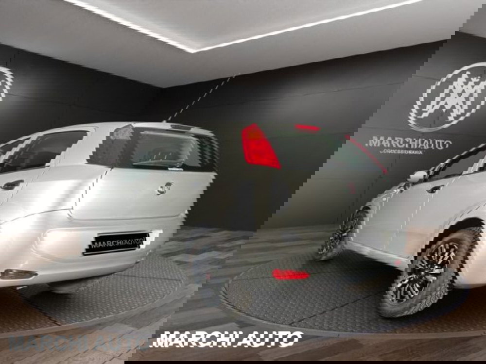 Fiat Punto usata a Perugia (7)