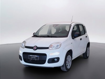 Fiat Panda 0.9 TwinAir Turbo Natural Power Easy del 2018 usata a Mosciano Sant'Angelo