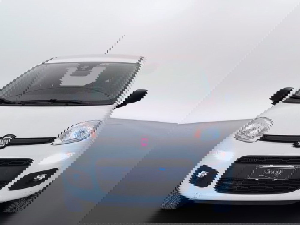 Fiat Panda usata a Teramo (2)