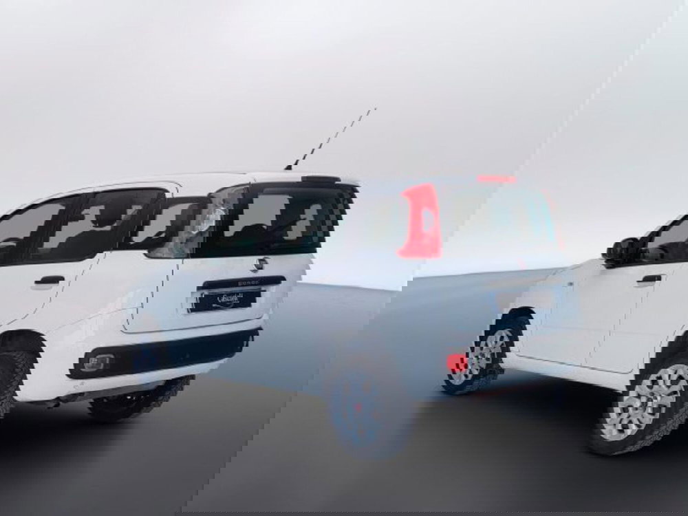 Fiat Panda usata a Teramo (5)