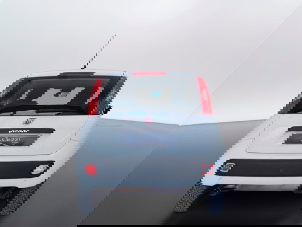 Fiat Panda usata a Teramo (6)