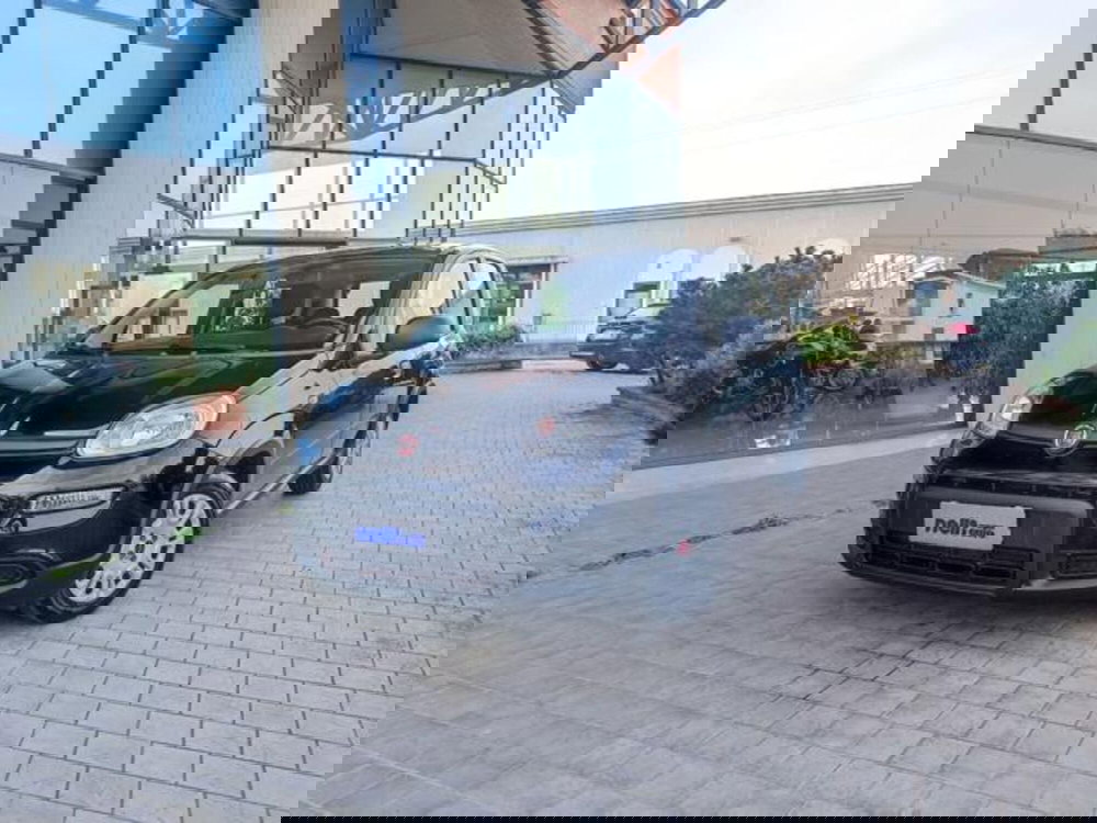 Fiat Panda usata a Pisa