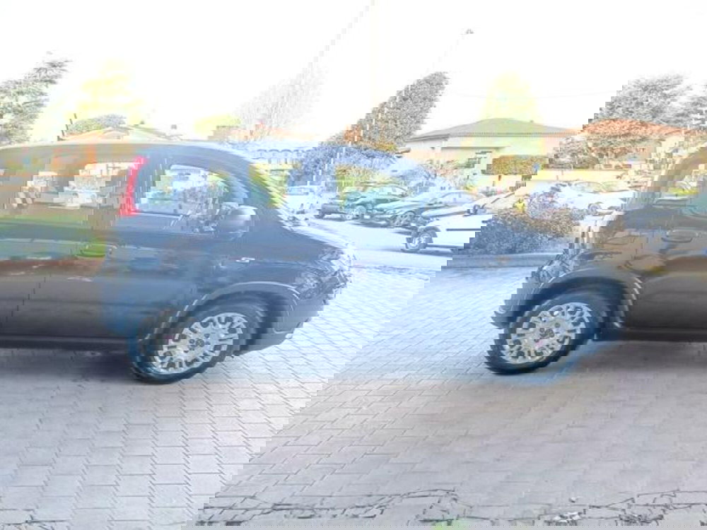 Fiat Panda usata a Pisa (10)