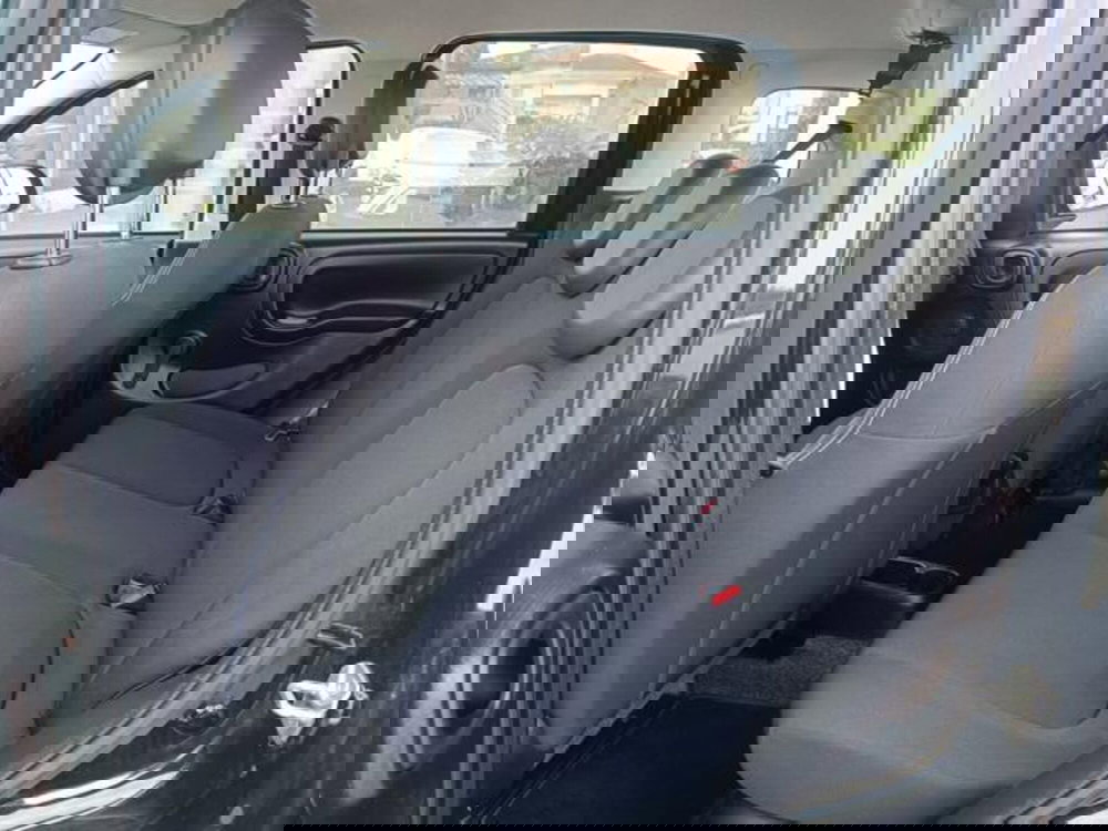 Fiat Panda usata a Pisa (19)