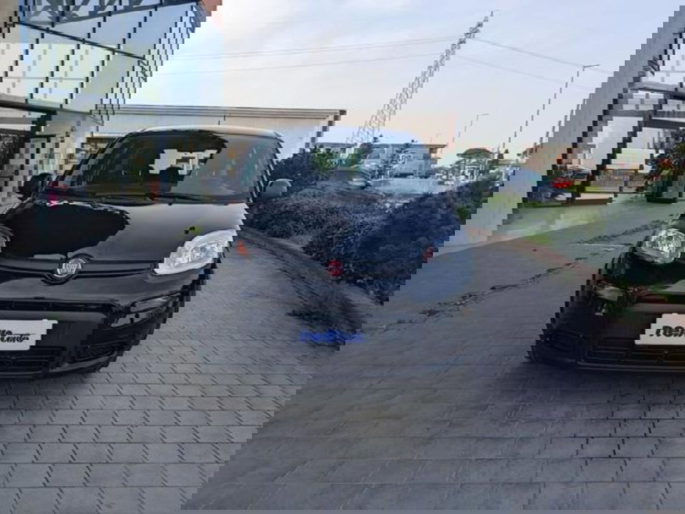 Fiat Panda usata a Pisa (2)