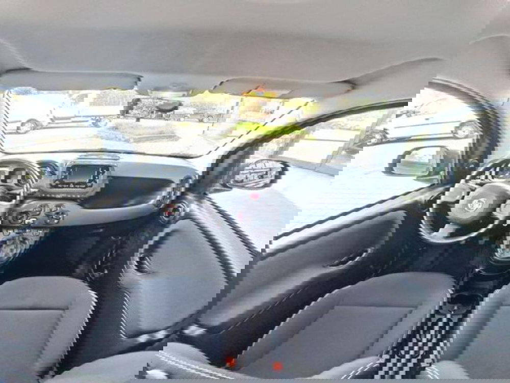 Fiat Panda usata a Pisa (20)